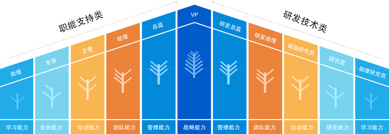 培训与发展